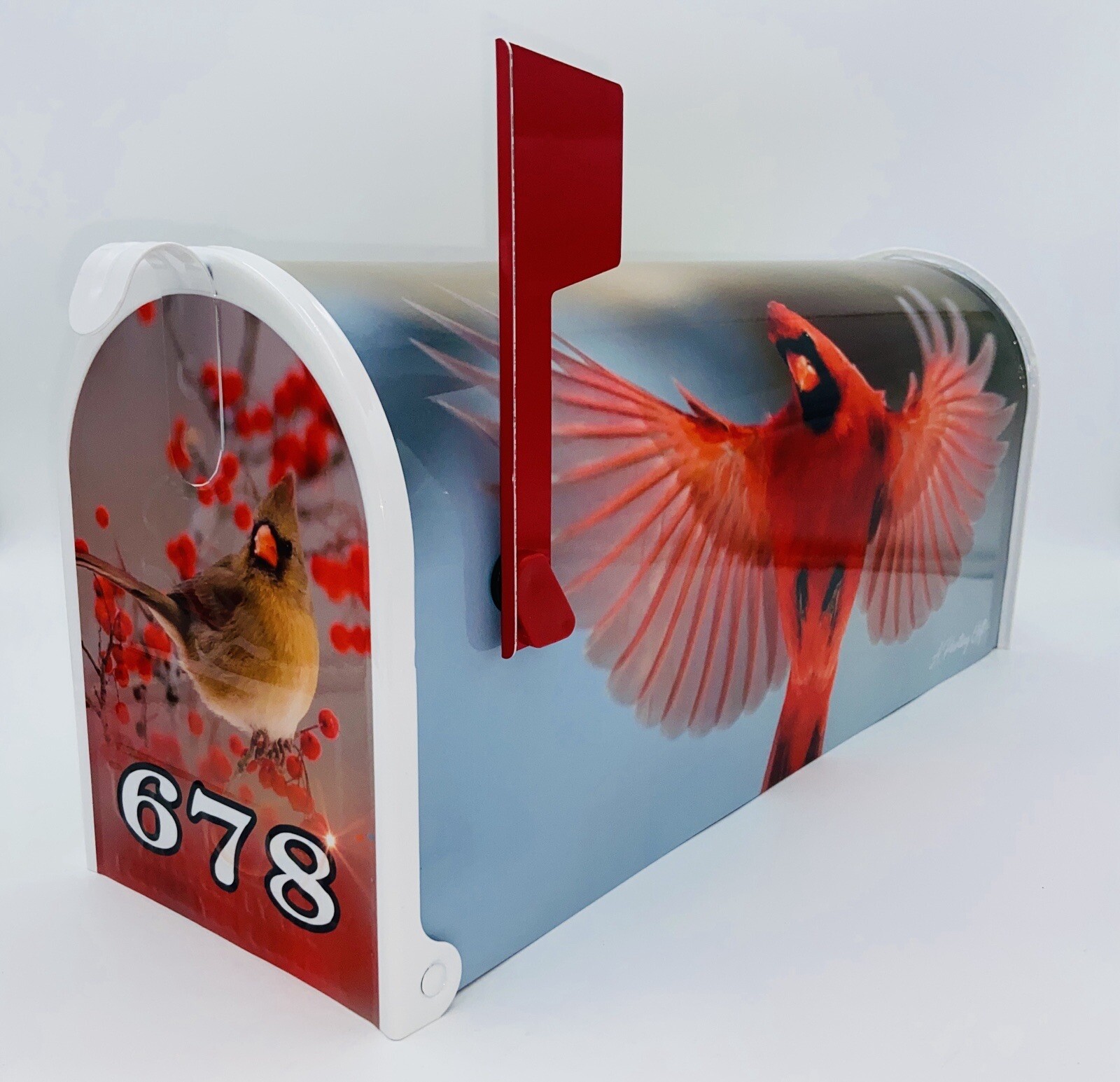 Birds cardinals, Birding gifts cardinal, Custom mailboxes, Gift special, giftful