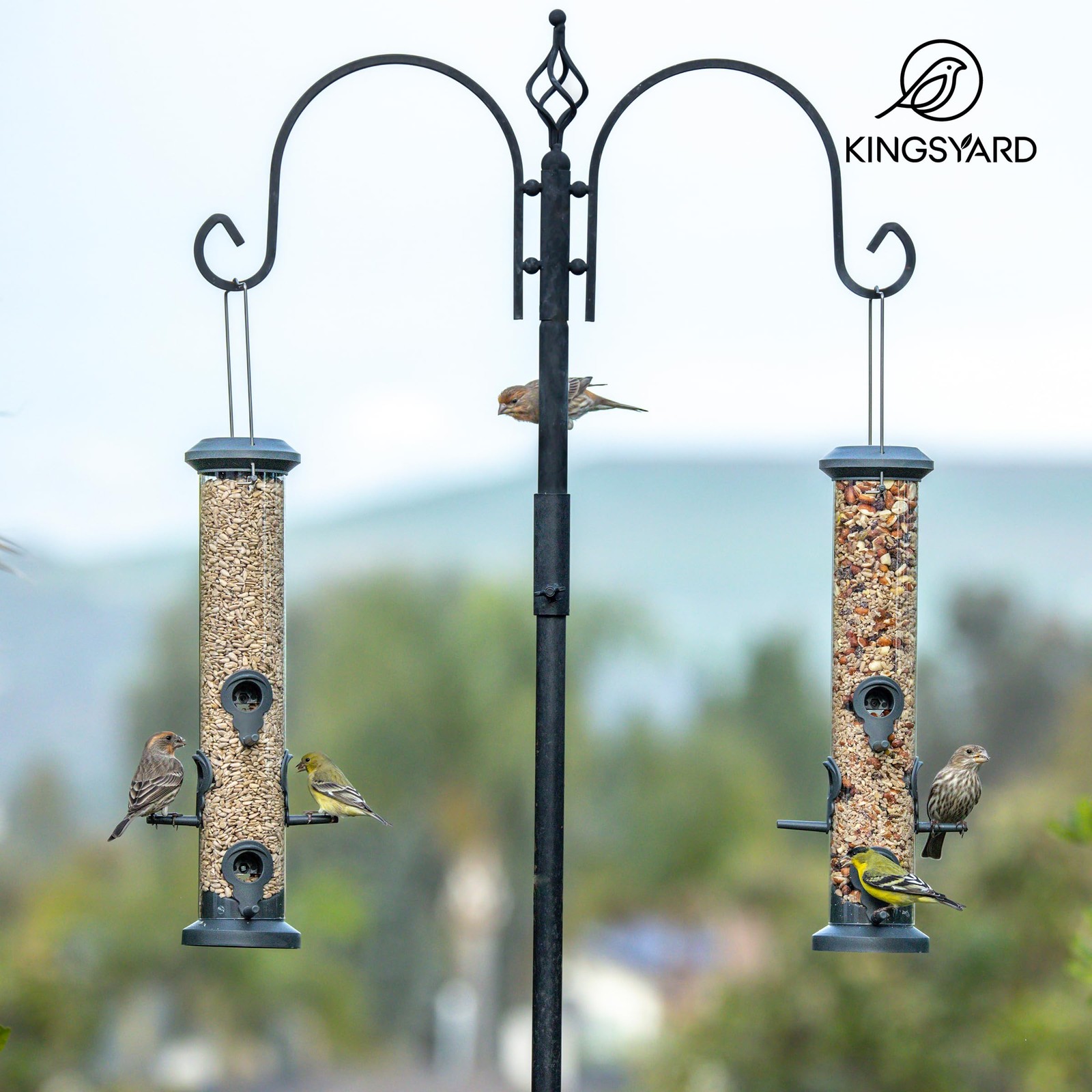 2 Pack Tube Feeders with 6 Feeding Ports for Clear Tube, Black