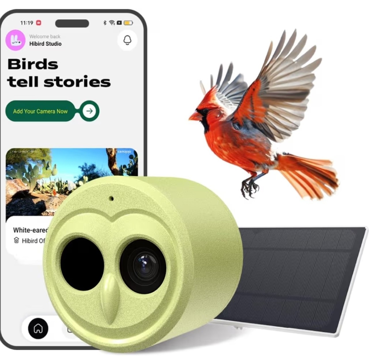Hibird DIY Smart Bird Camera Solar WiFi Outdoor Wildlife Cam Motion Outdoor Used