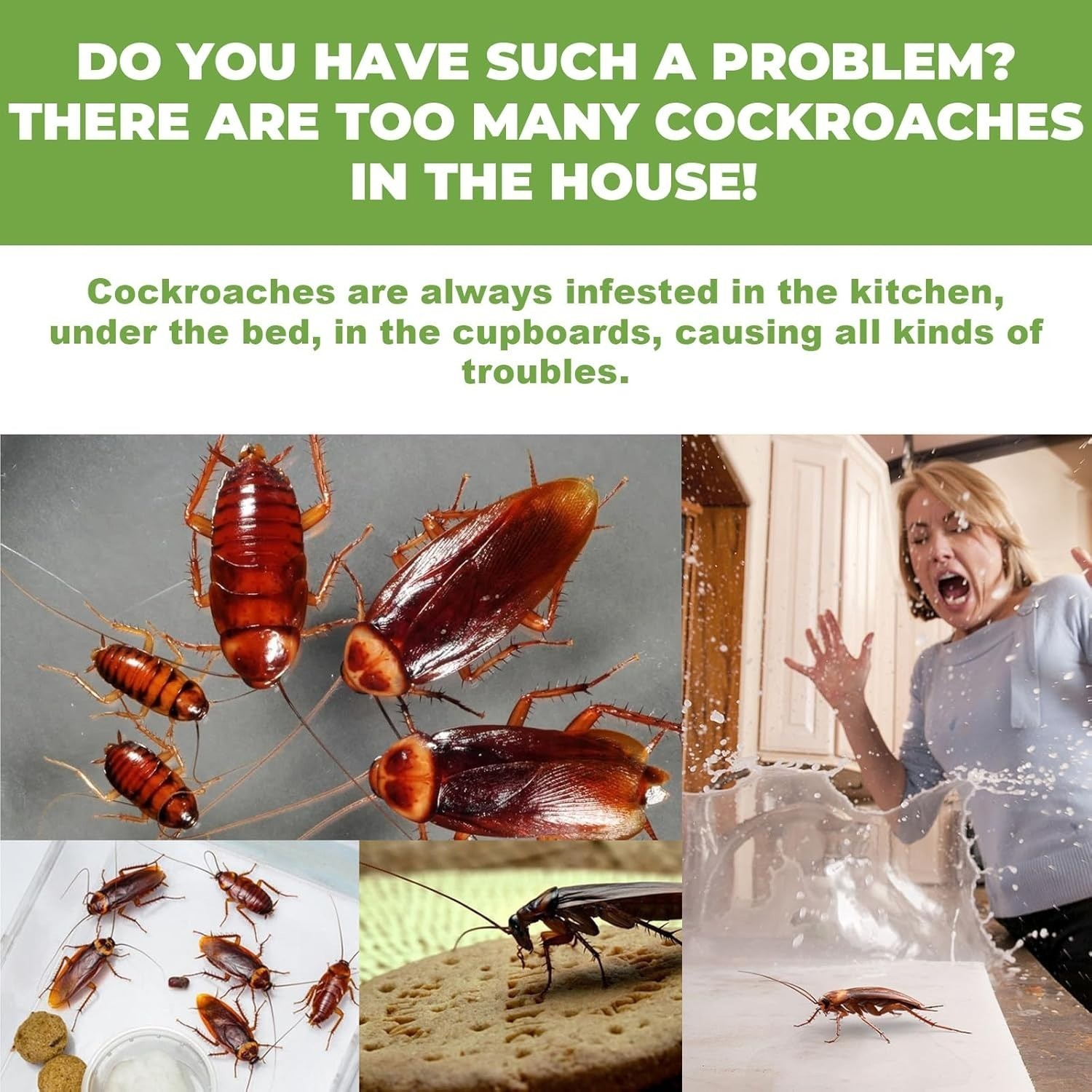 36PCS/Pack Roach Bait - Cockroach Killer Indoor Infestation