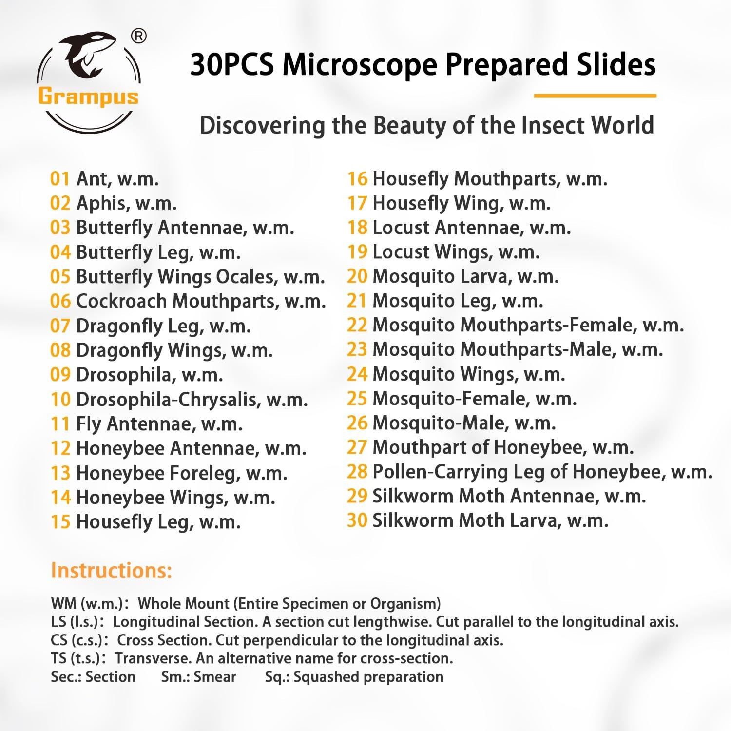 30pcs Optically Cleared Insect Microscope Slides - Safe for Kids and School Labs