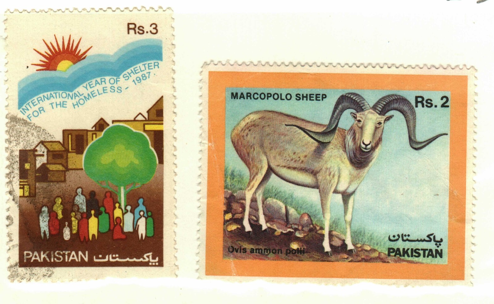 Pakistan #674, 687 used  sheep