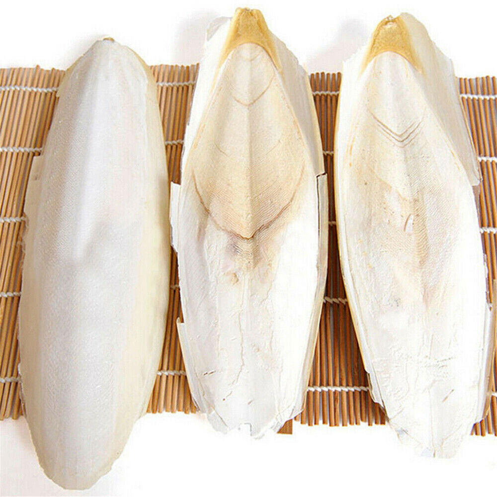 10-20Pc Cuttlebone for Birds Parrot Chewing Cuttle bone for Sharp Beaks 2.4-3.1"