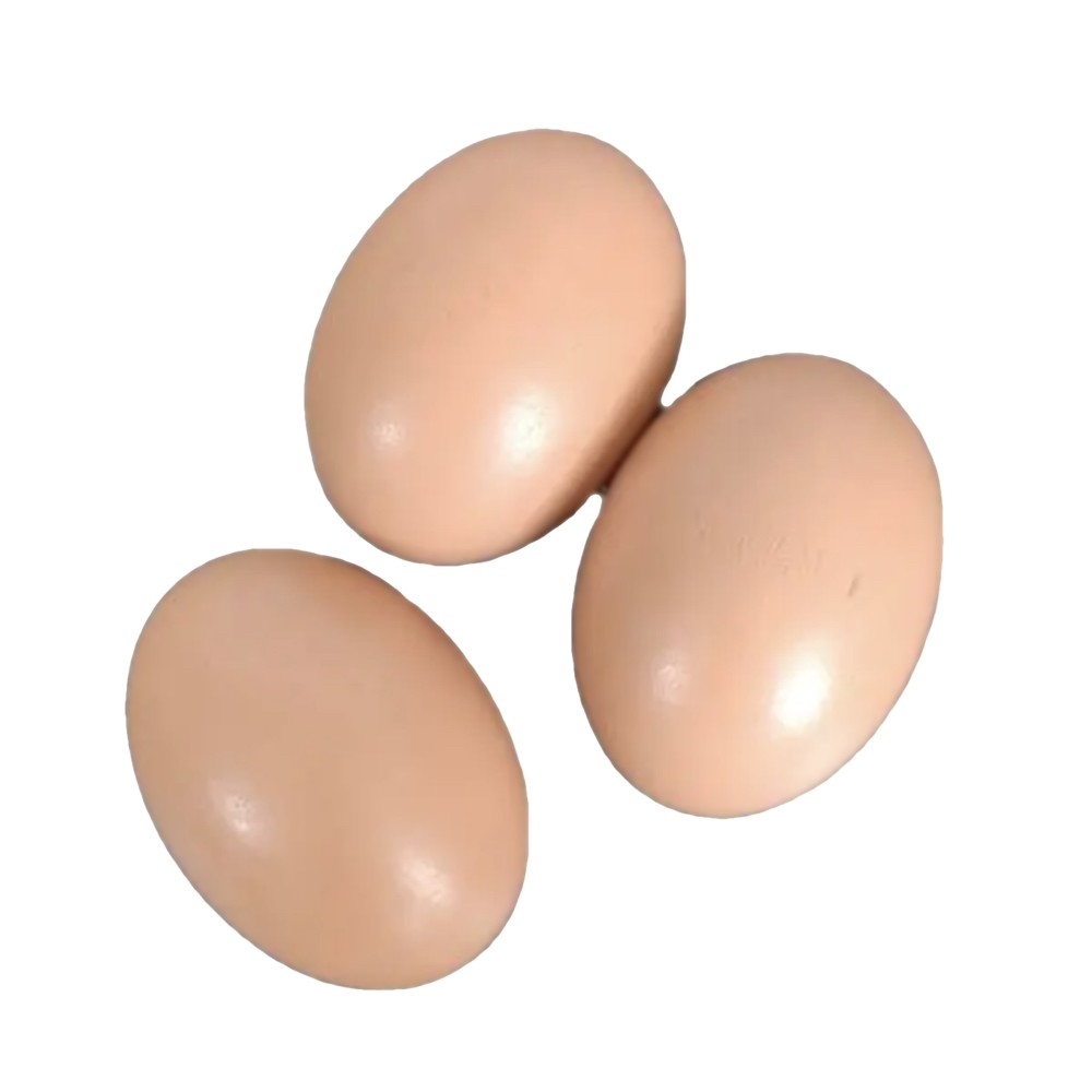 Drip Depot Dummy Eggs