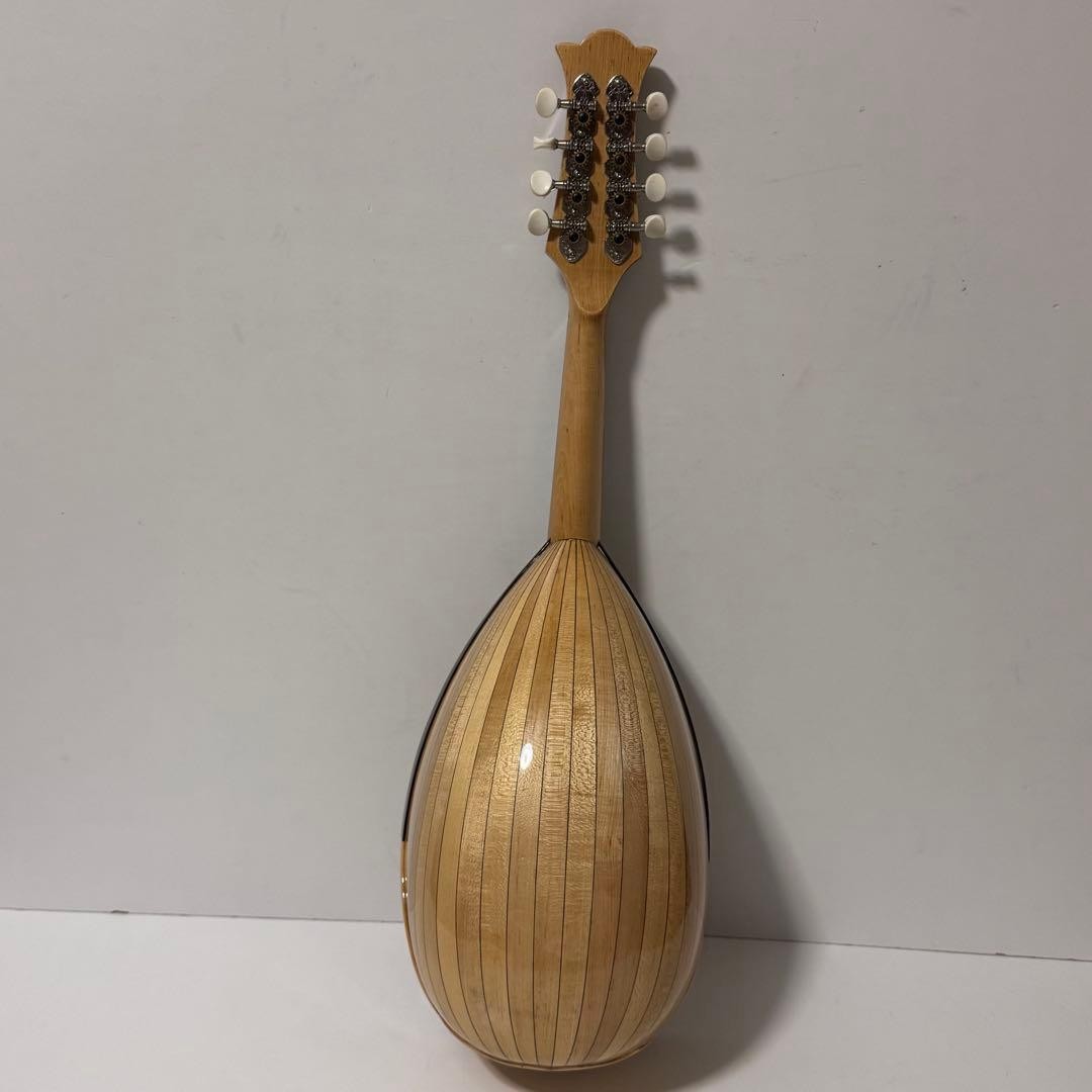 Good condition MONOPIA Mandolin with hard case