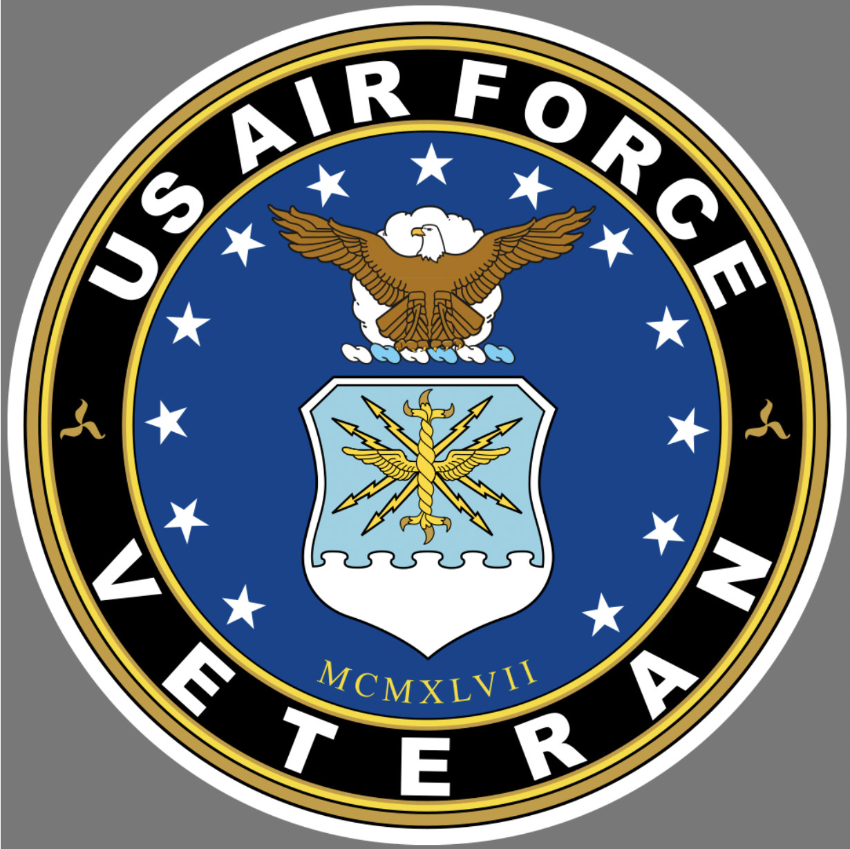 Car Magnet - US Air Force Veteran USA - MAGNET