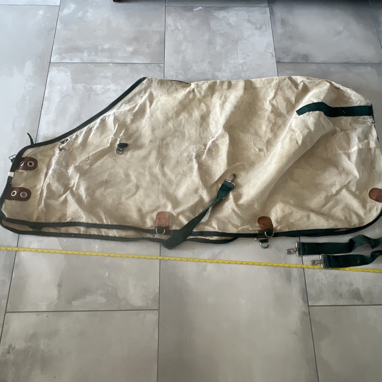 Horse Fly Sheet 66”
