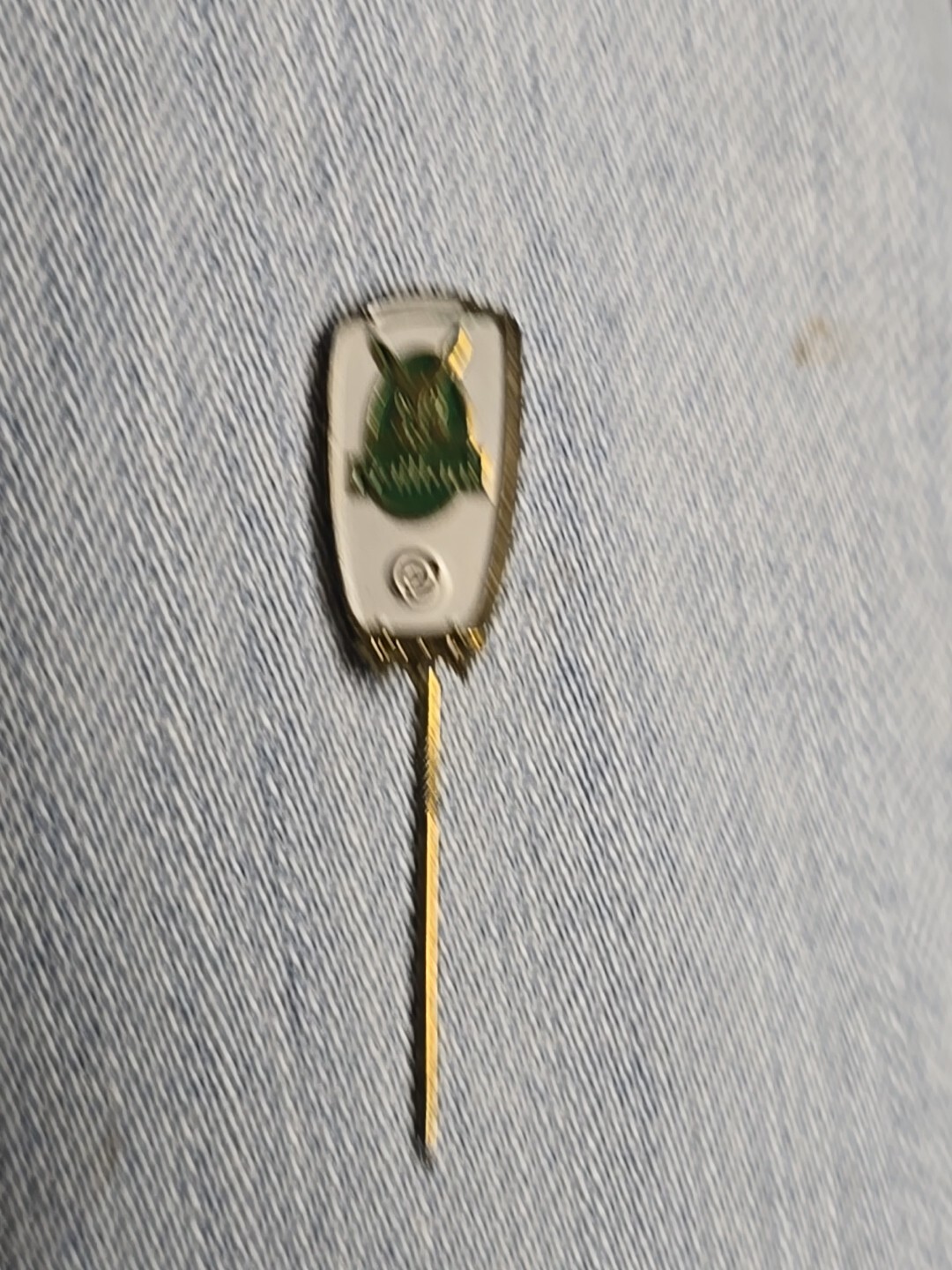 Vintage Vaillant Pin (99)
