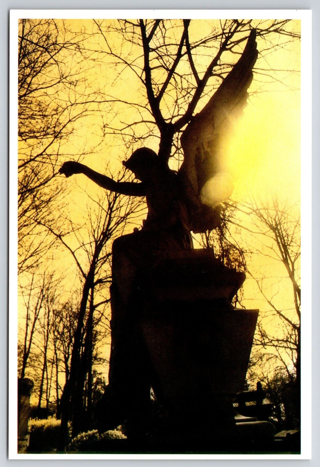 The Guardian Angel Sunset Silhouette Through Trees Cemetery Statue 6x4 Postcard