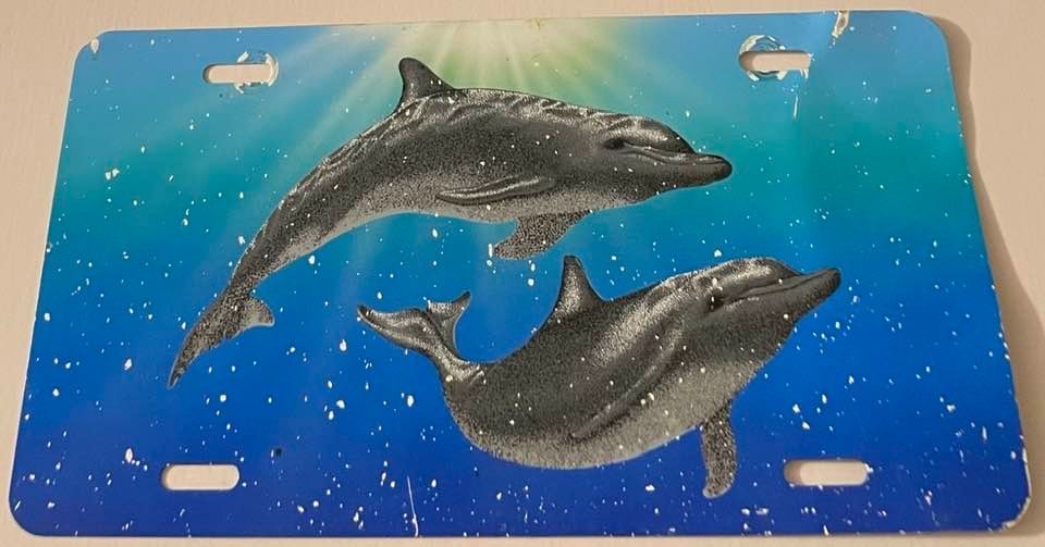 Dolphins Novelty License Plate Ocean Scene Bottlenose