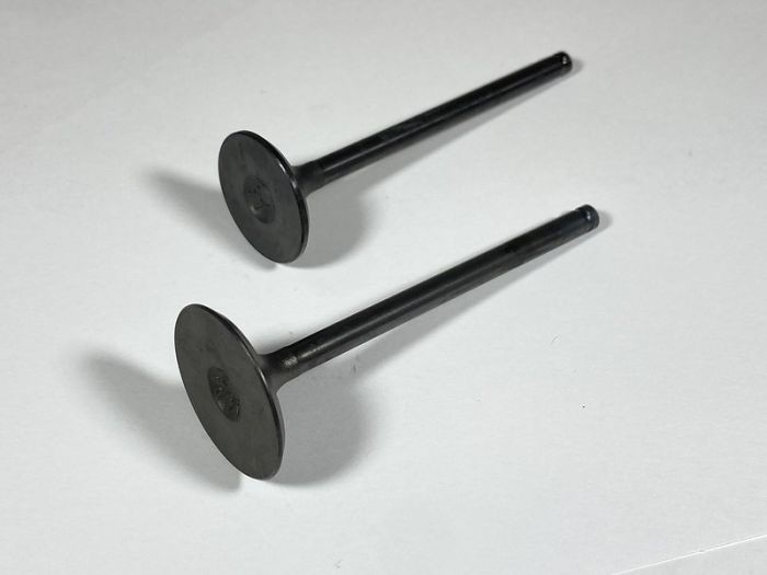 SHINDY Engine Valve Set TRX250TE/TM (02-20) 07-032