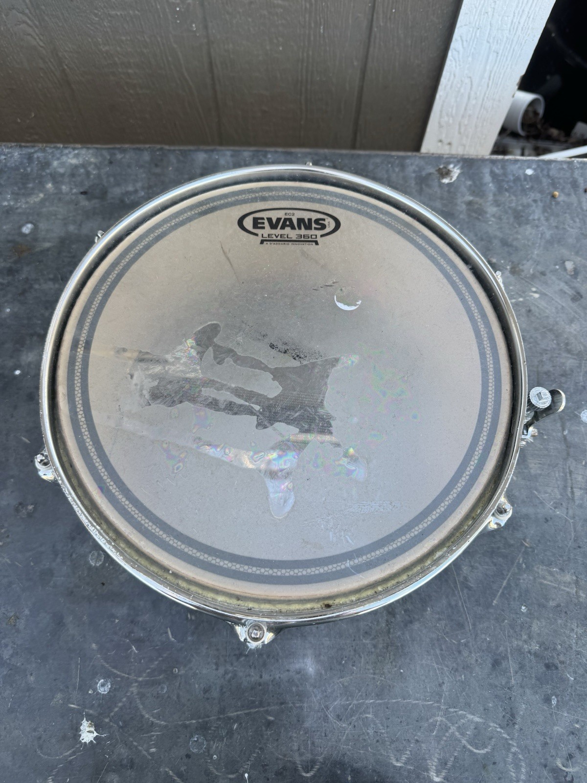 Evans Level 360 Drumhead As Is