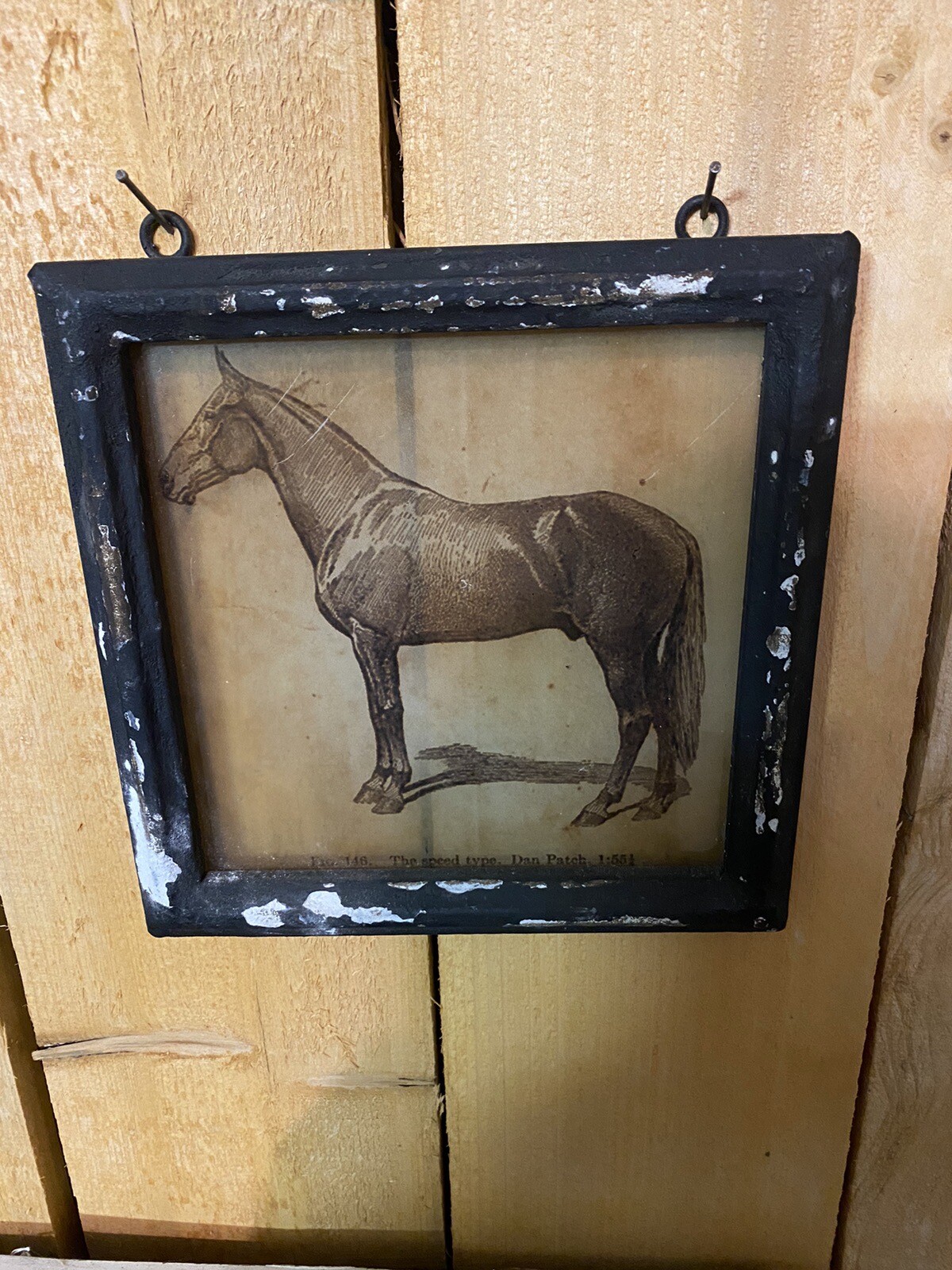 Vintage Original Rare Dan Patch Sketching On Framed Glass Harness Racing