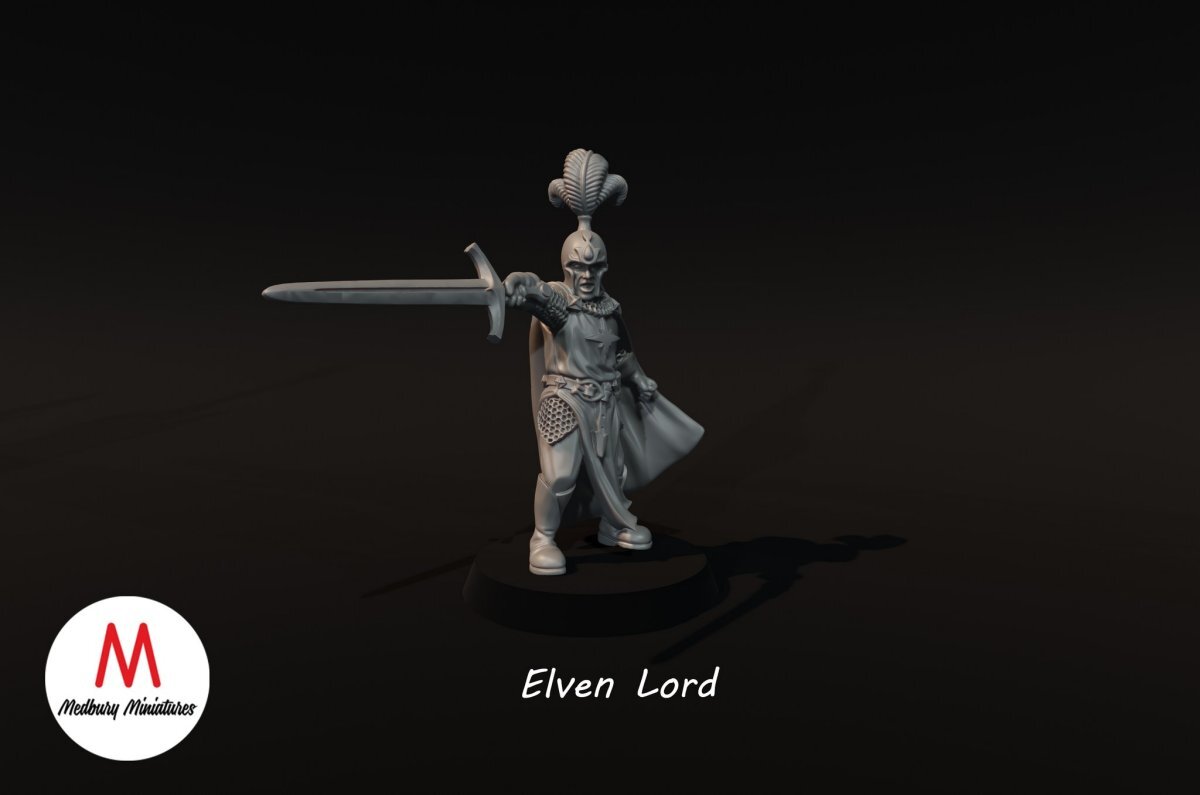 LOTR - Elven Lord #2