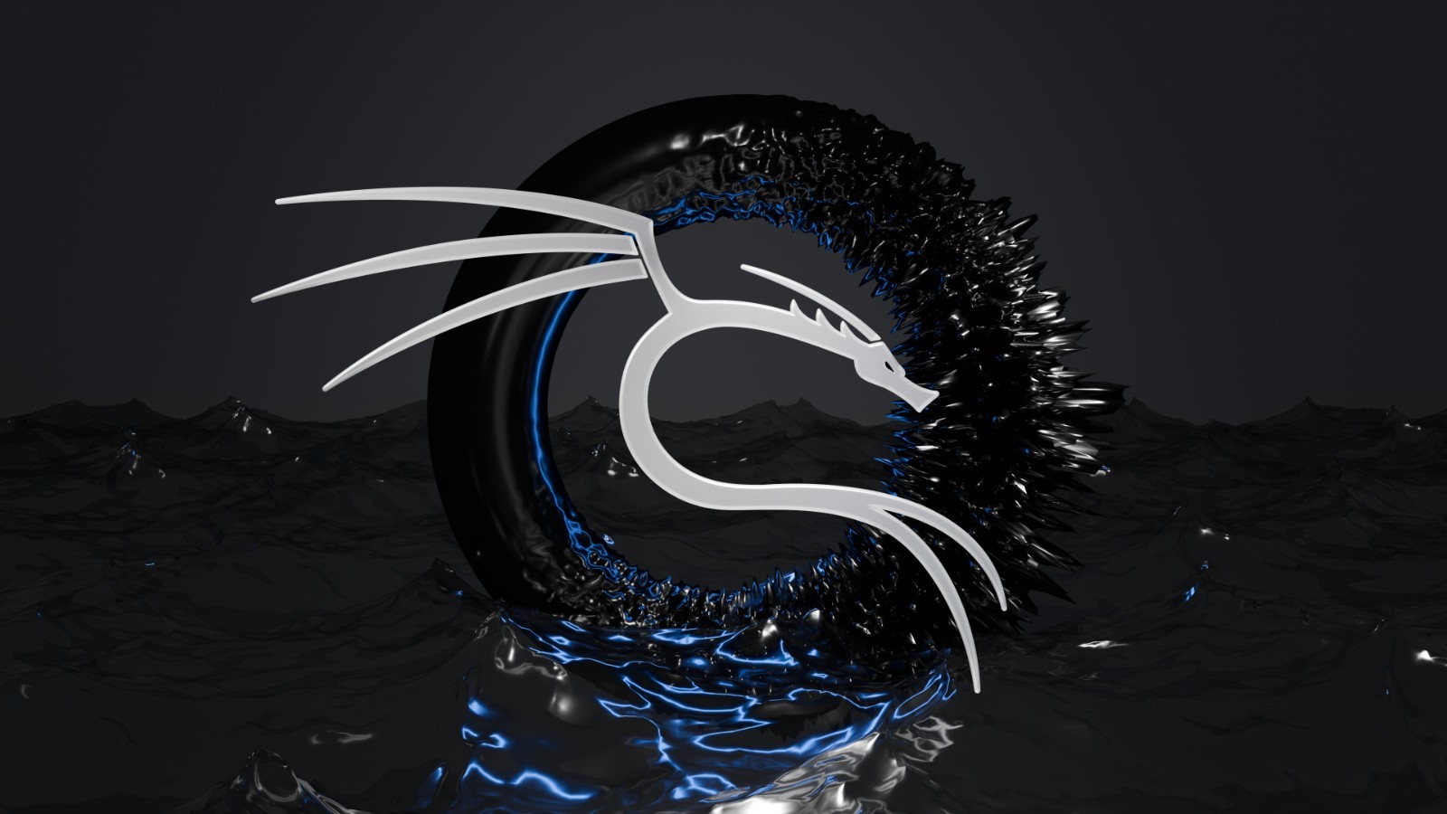 Kali-Linux 2026.1 Live version on 3.1 16 Gig USB Drive