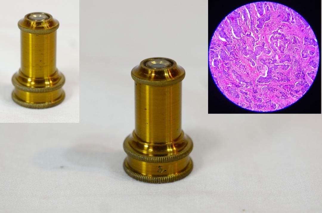 microscope antique collectible Ernst Leitz Stand V Microscope SN.1557 1873