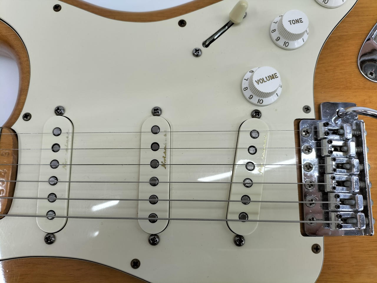 FERNANDES / FST(no250331)