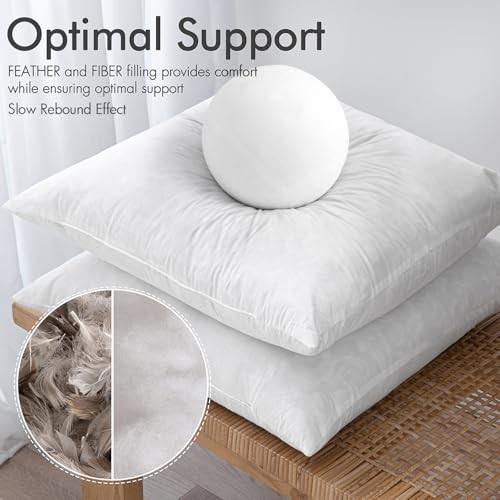 Euro Pillow Inserts 24x24 Inch Set of 2, Feather Mix 24x24 Inch (Pack of 2)