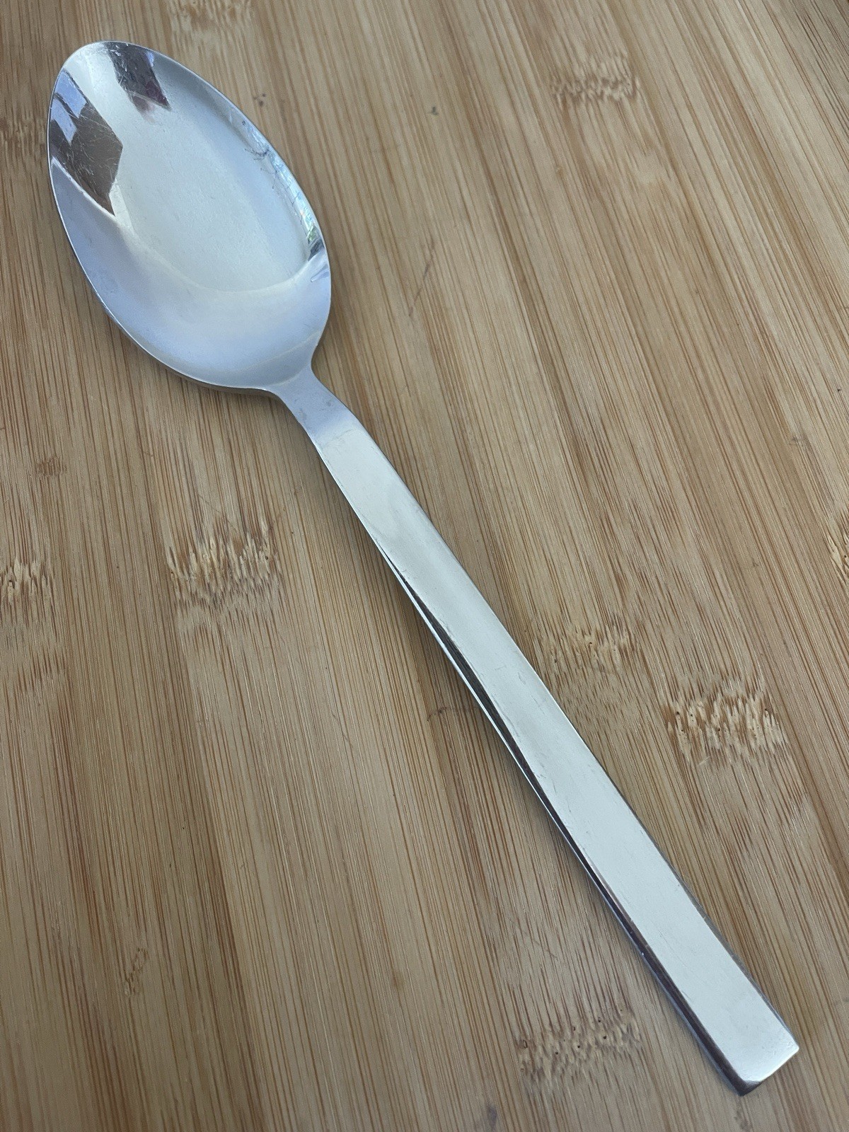 Cambridge Stainless DESTINY MIRROR Raised Ridge SERVING SPOON 8.75”