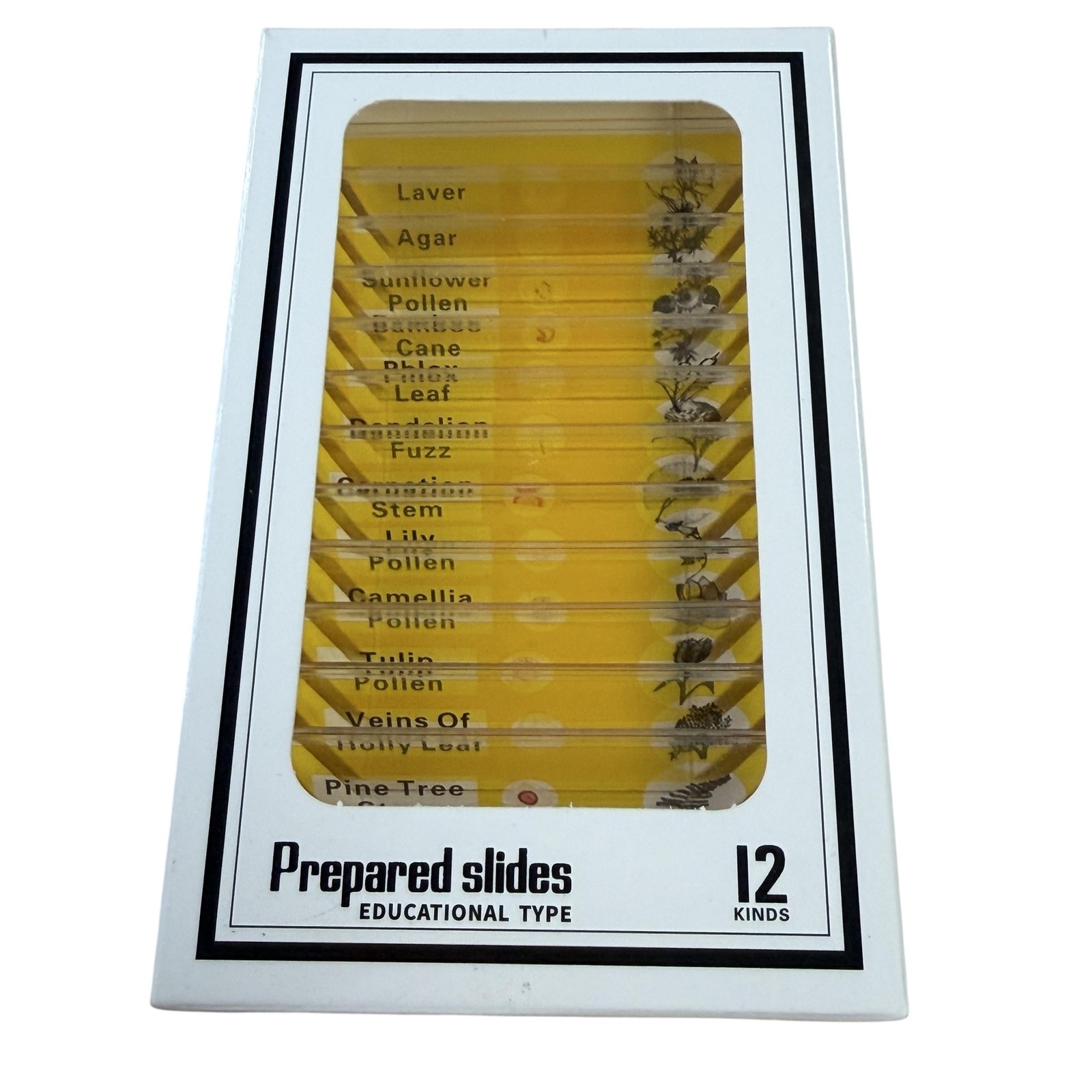 DIY-SCIENCE Prepared Microscope Slides 12 Kinds Educational Plant Pollen Set
