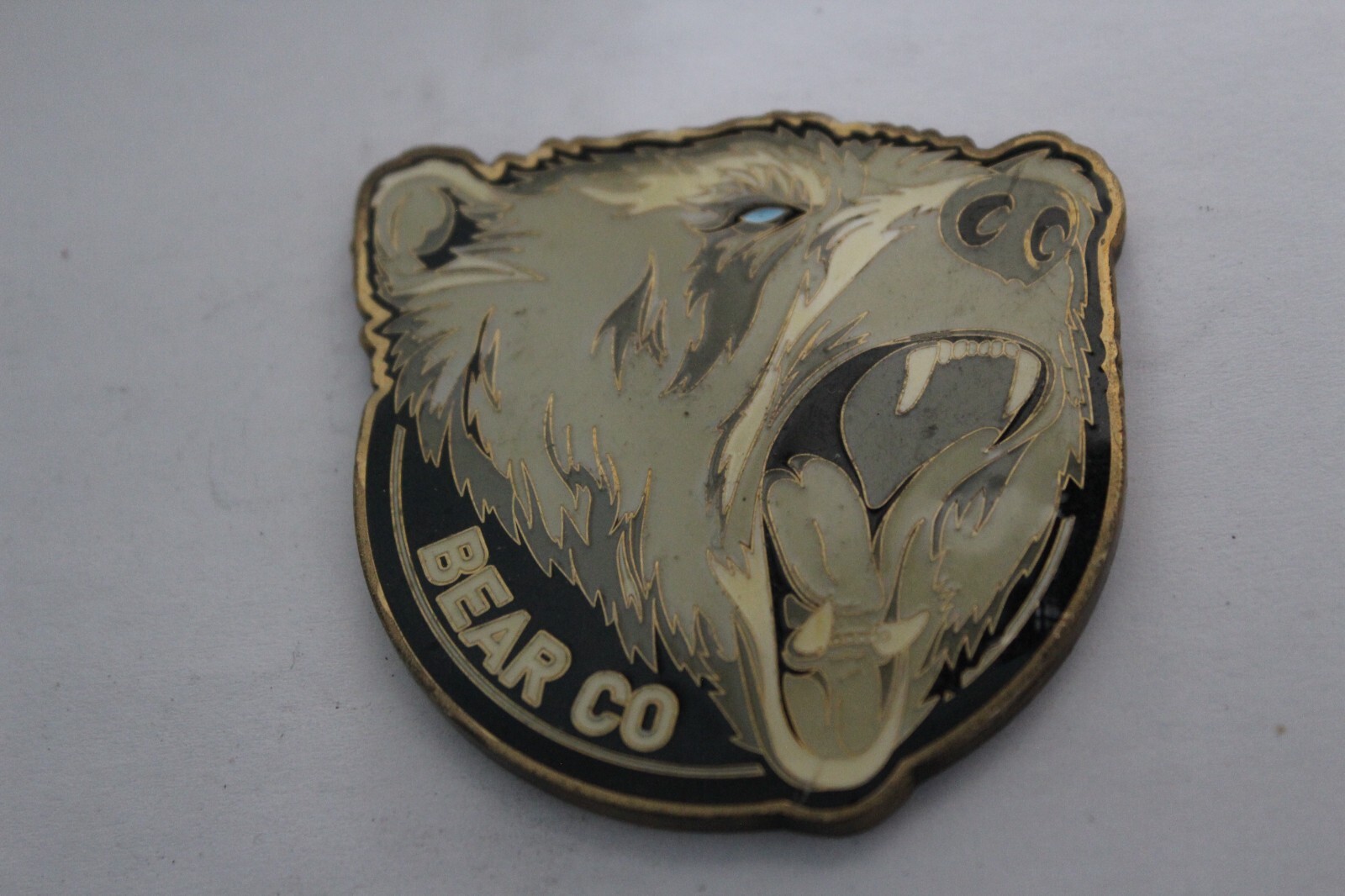 US Mountain Ranger Patriots Challenge Coin