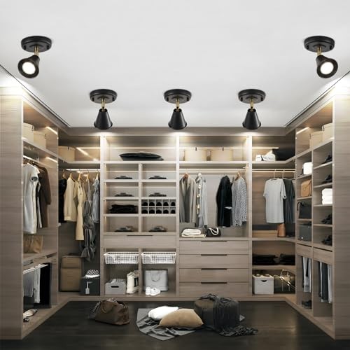 Modern Flush Mount Ceiling Spot Light, Adjustable Directional 1 light (2 pack)