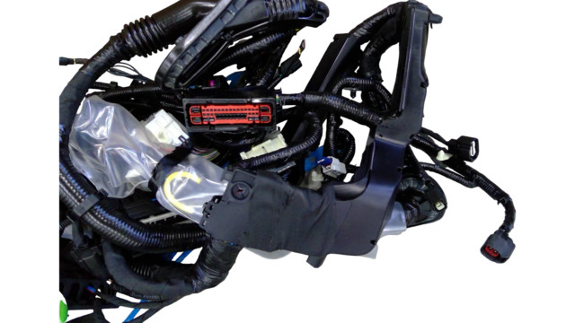 Genuine Ford Wiring Assembly Main FP5Z-14401-CE