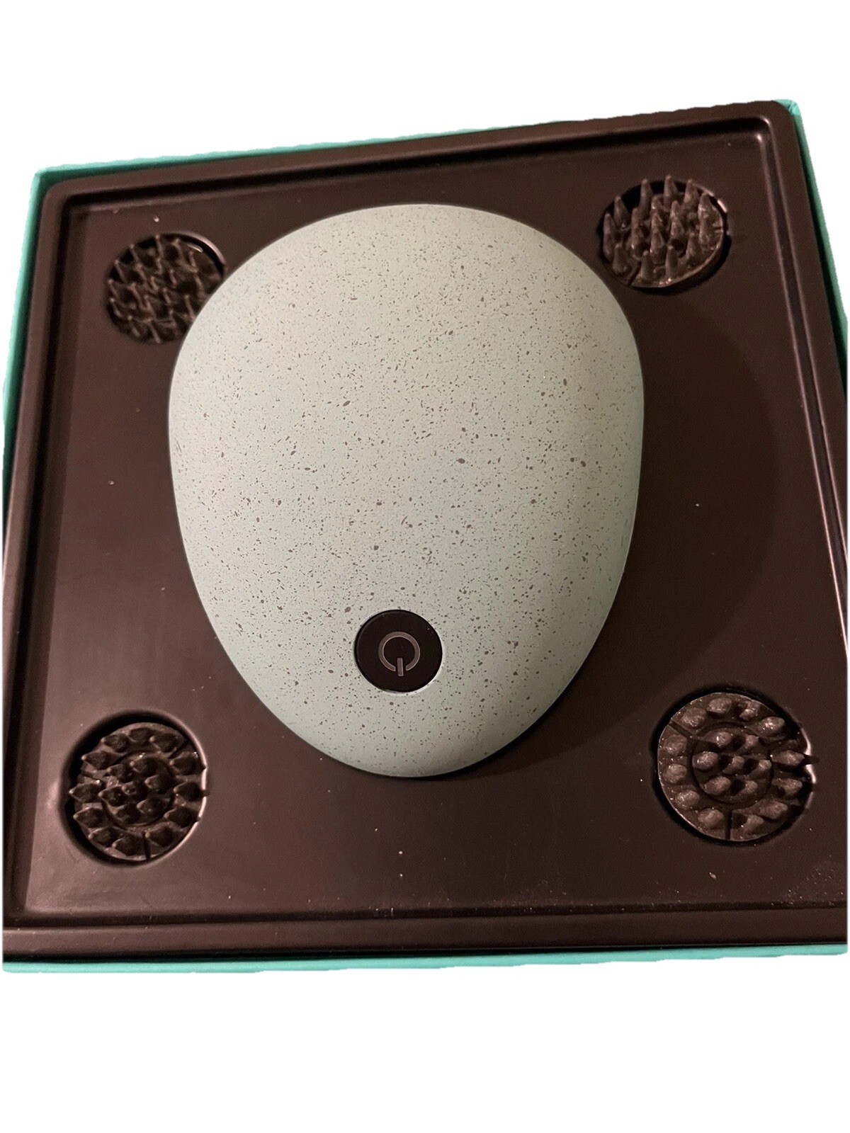 Electric Scalp Mini T Hand Held Massager for People Or Pets 1100mAh 5W