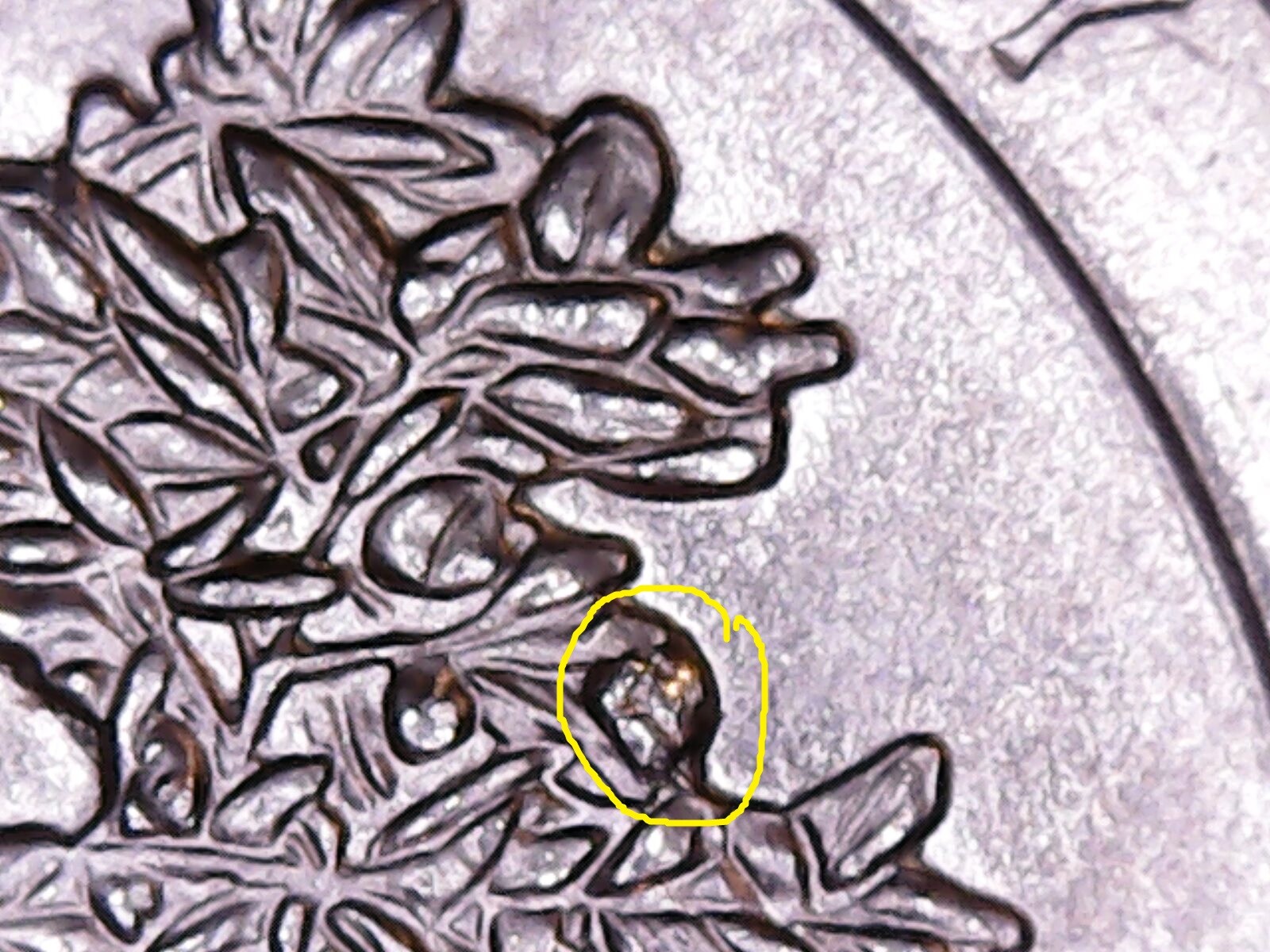 2020 P Salt River Bay Quarter with Multiple (10 !!!) Die Chips. BU condition.