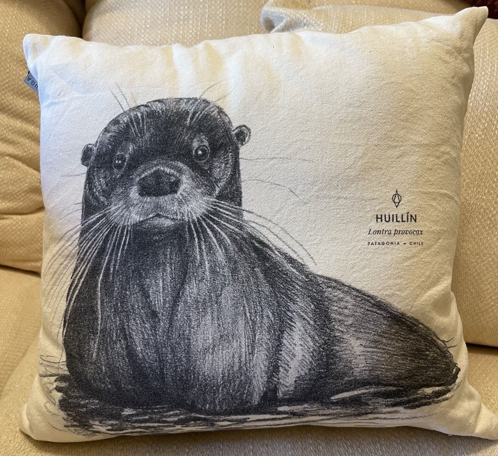 Garuda Huillin Lontra Provocax River Otter  Pillow Zip Made In Chile Cream 14x14