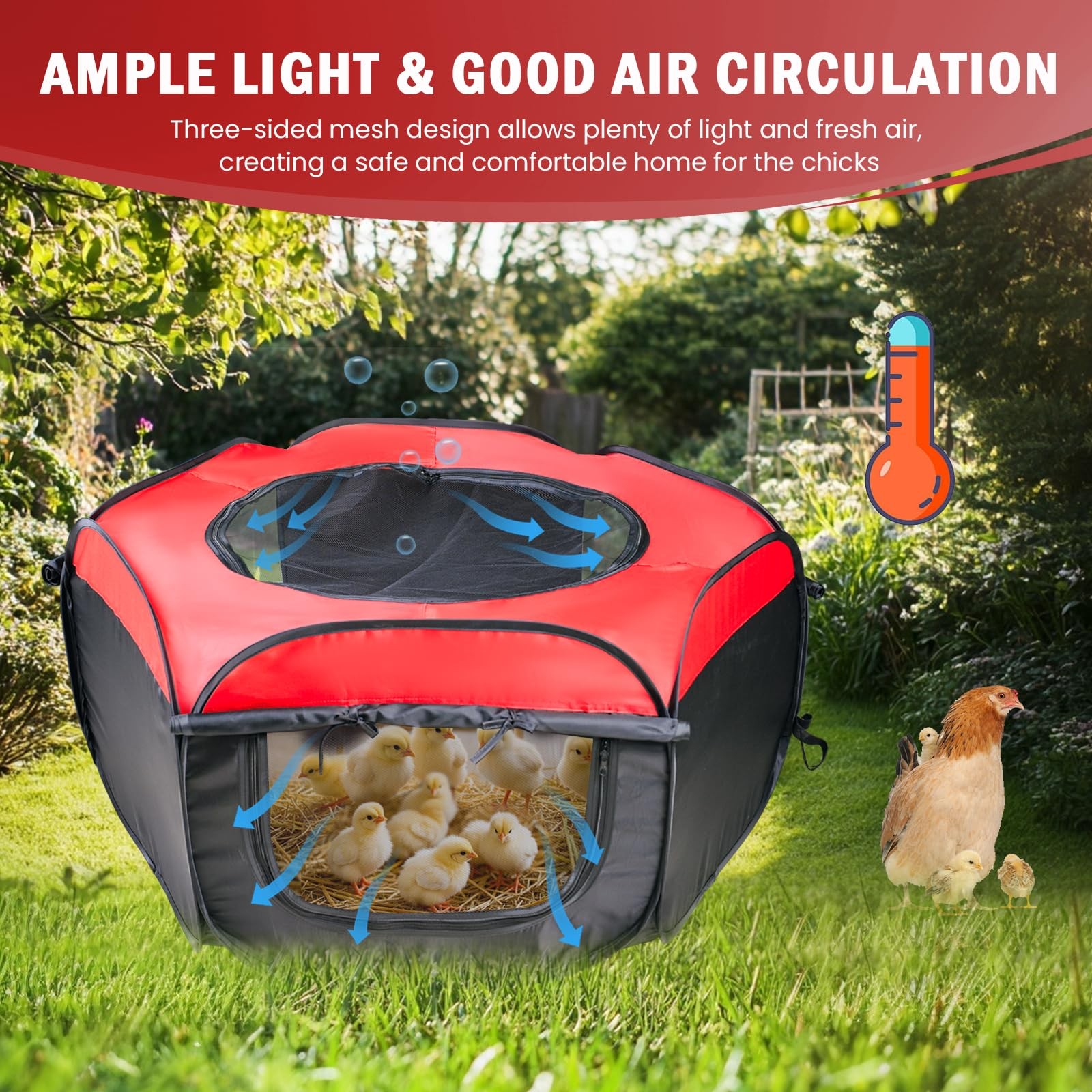 Brooder Box Starter Kit Up to 15 Chick Duck Quail Red Ideal Size