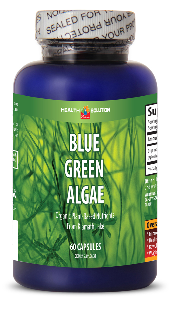 Antioxidant Supplement from Klamath Lake Blue Green Algae (1 Bottle)