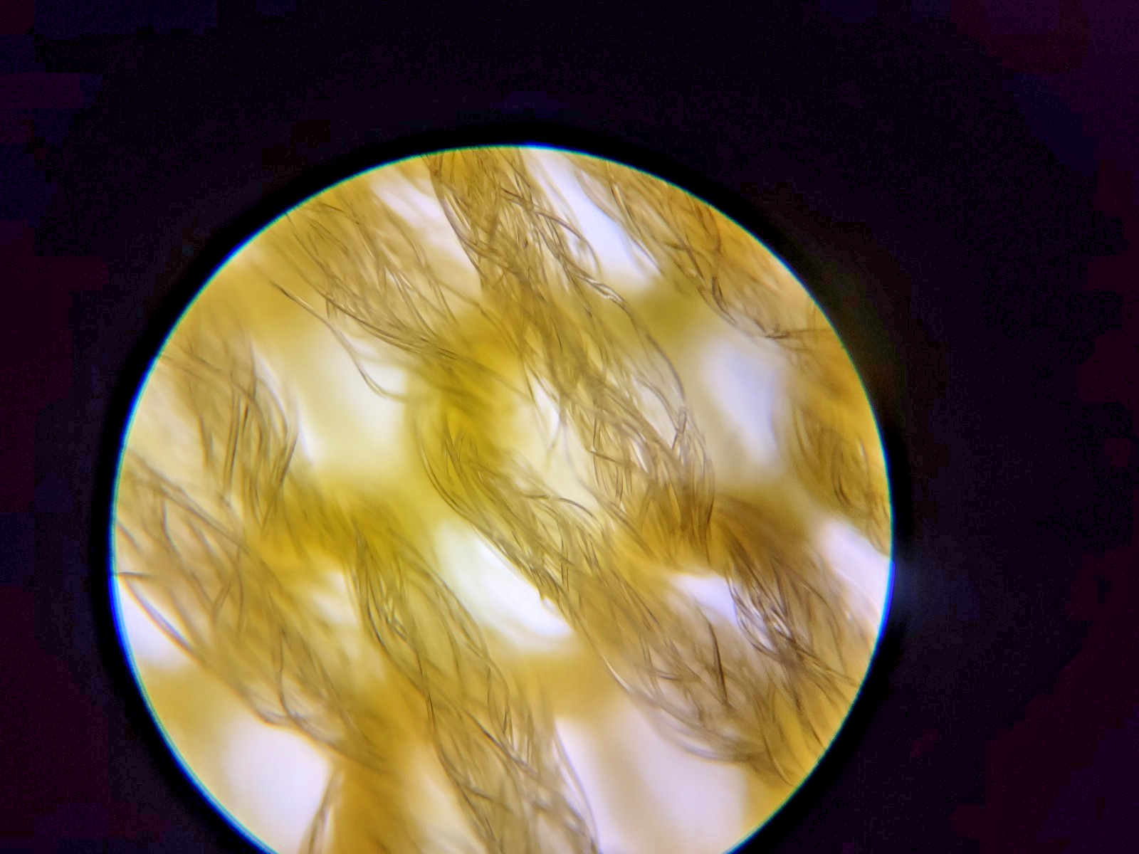 Needs calibration, Trinocular Microscope 40X-5000X Magnification ,