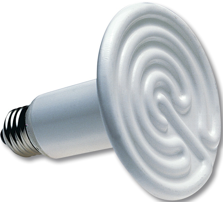250W 110V CERAMIC HEAT EMITTER BROODER INFRARED LAMP BULB REPTILE PET COOP GROW9