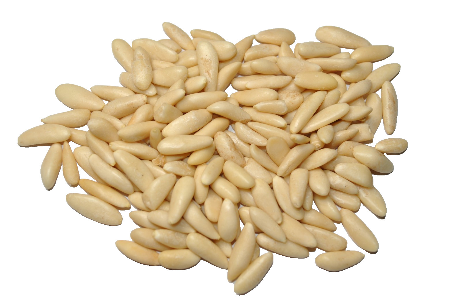 150 Gram CARTHAGE PINE NUTS MEDITERRANEAN DELICACY AUTHENTIC TUNISIAN TASTE