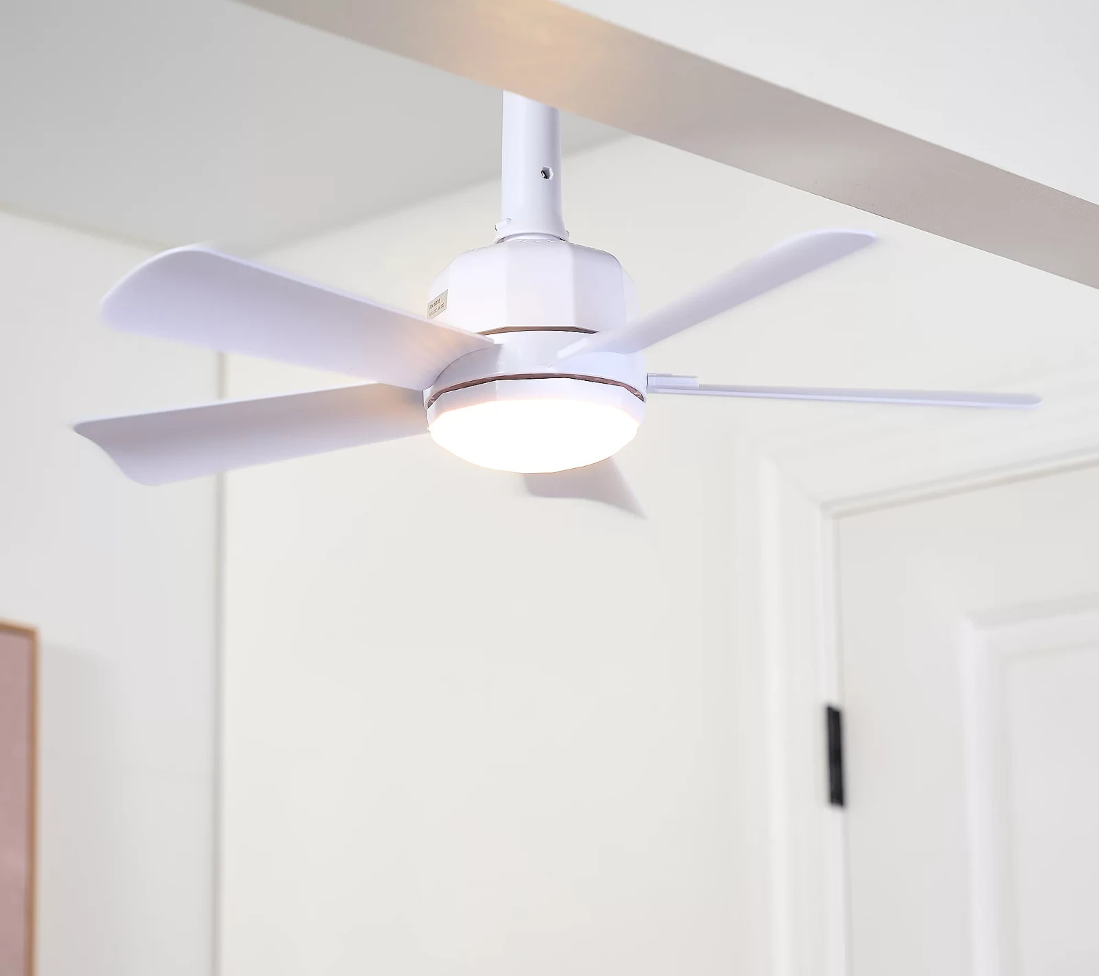Cascade Pro 2-in-1 Socket 19" Ceiling Fan & LED Light+Remote - White,Black,Brown