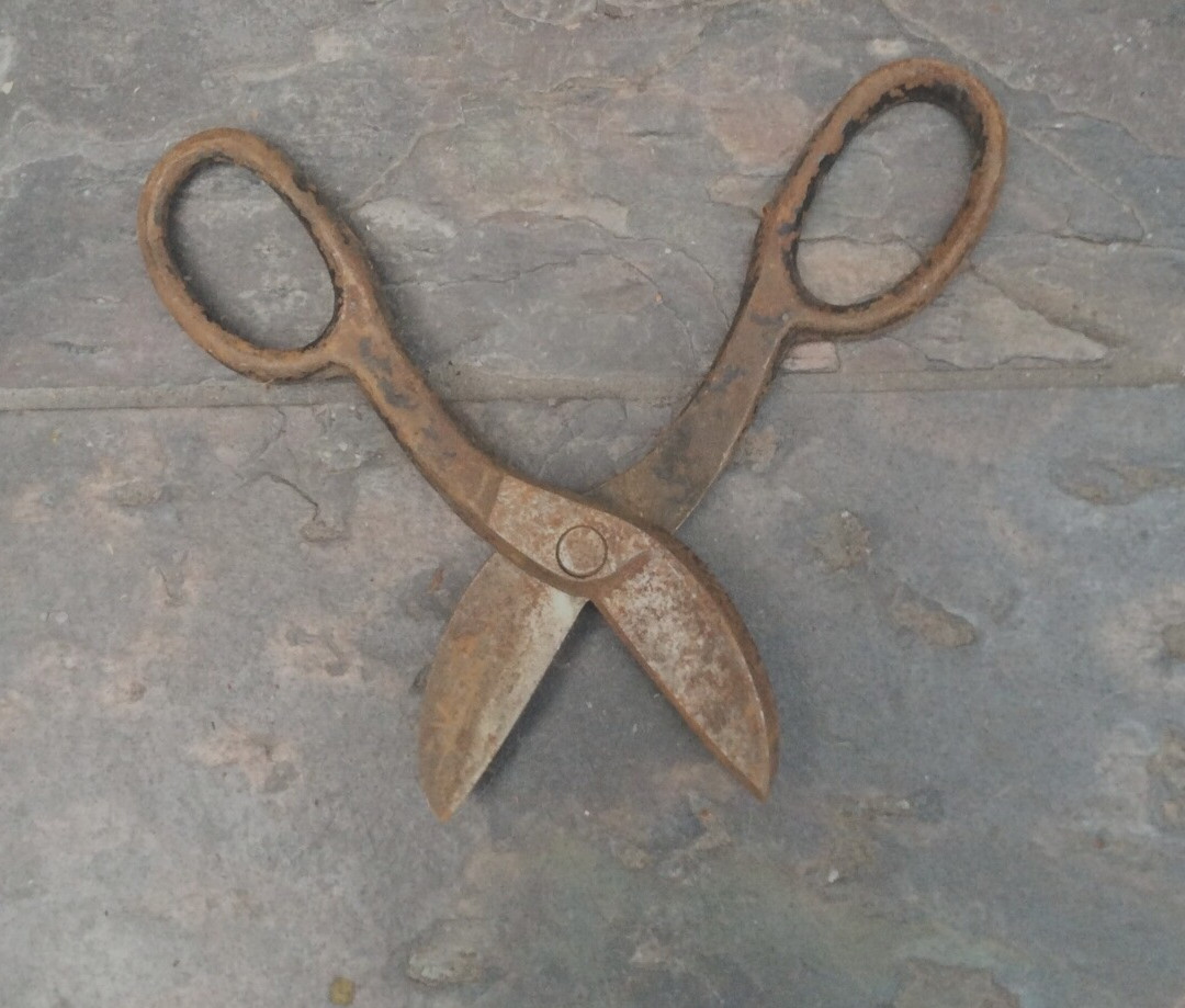 Vintage Blue Bird (?) Short Tin Snips
