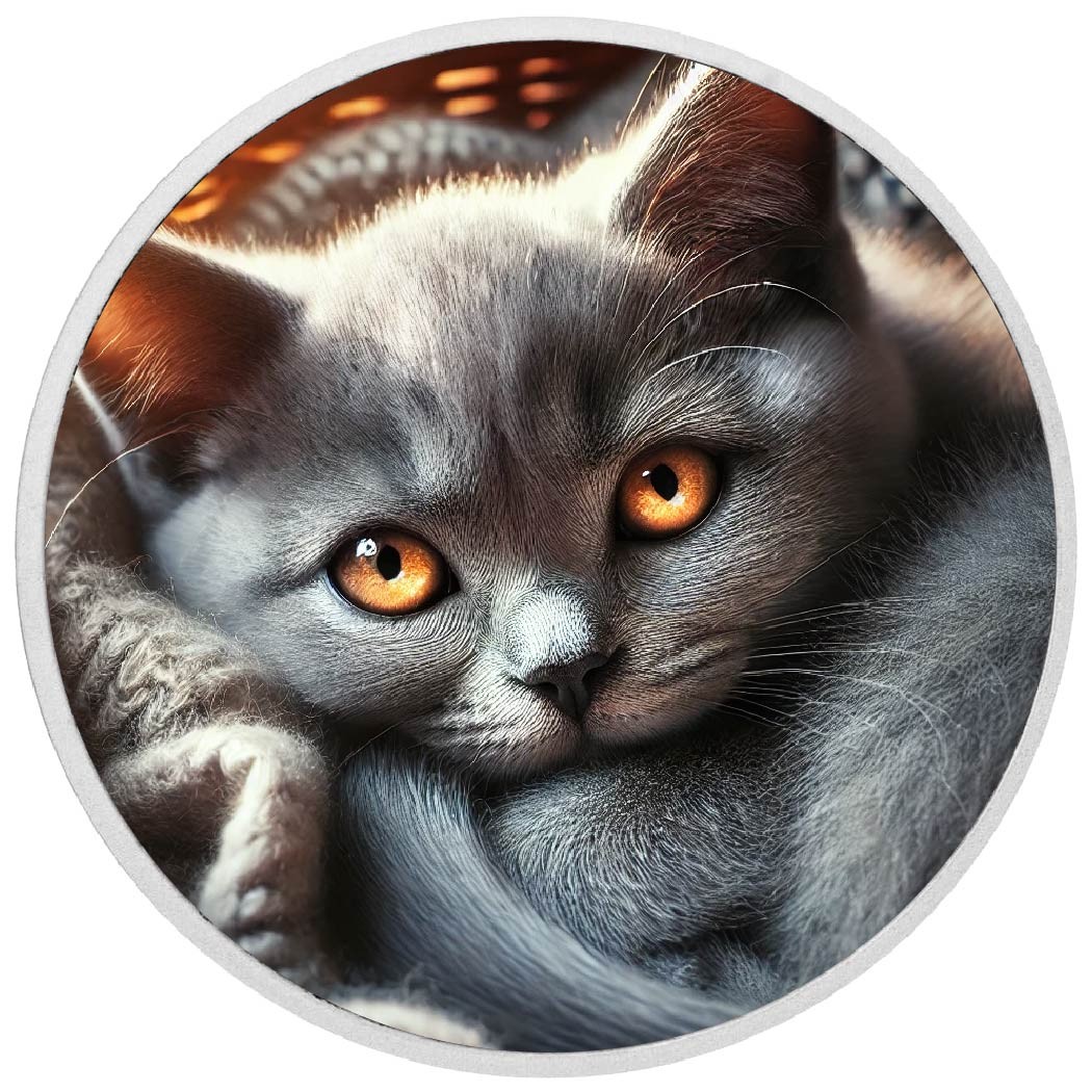 2026 Australia 1oz 9999 Silver BU Ember Eyes The Feline Flame Colouriized