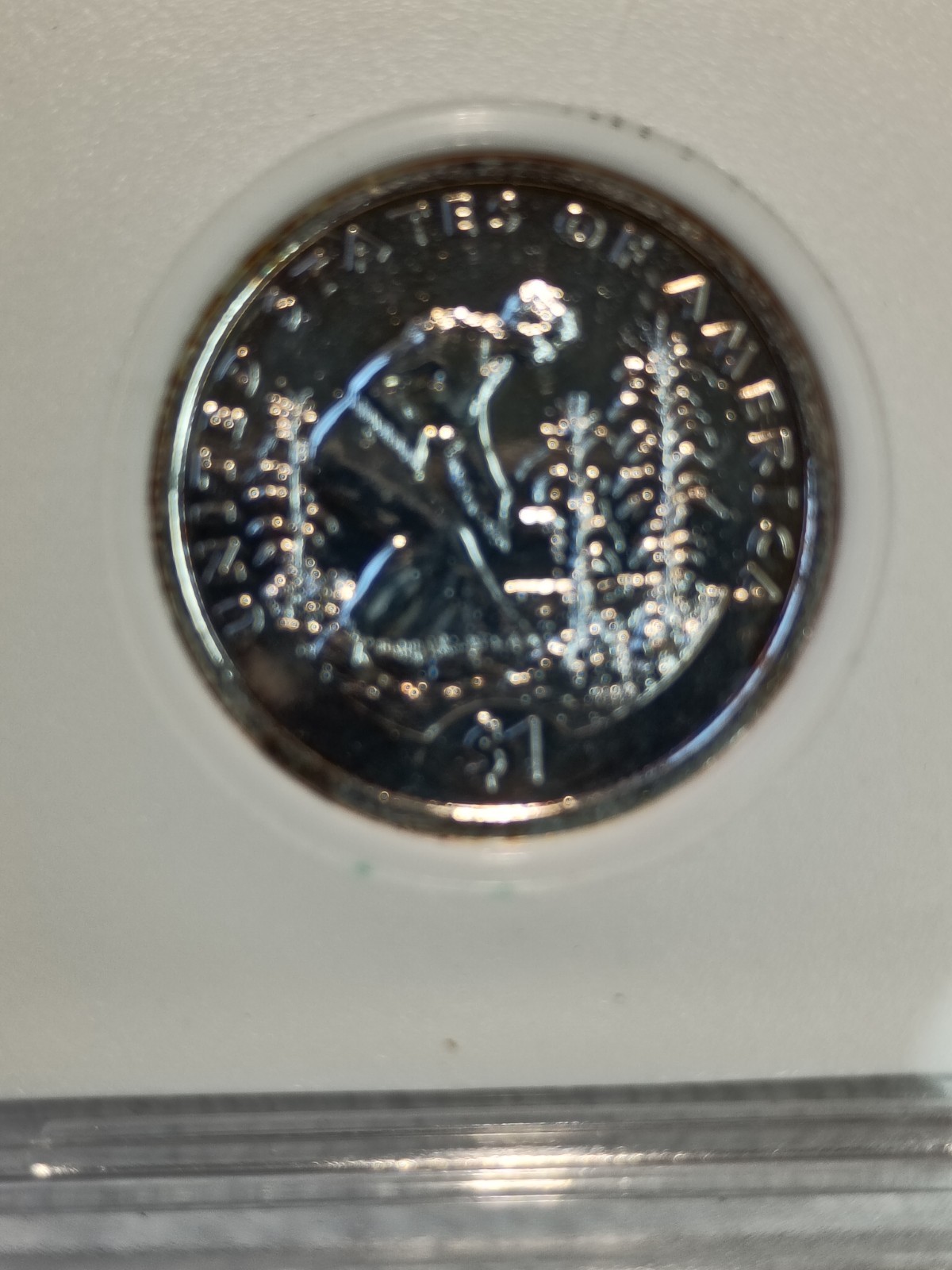 2009-P $1 Registered Native American Dollar! .999 Silver Enriched