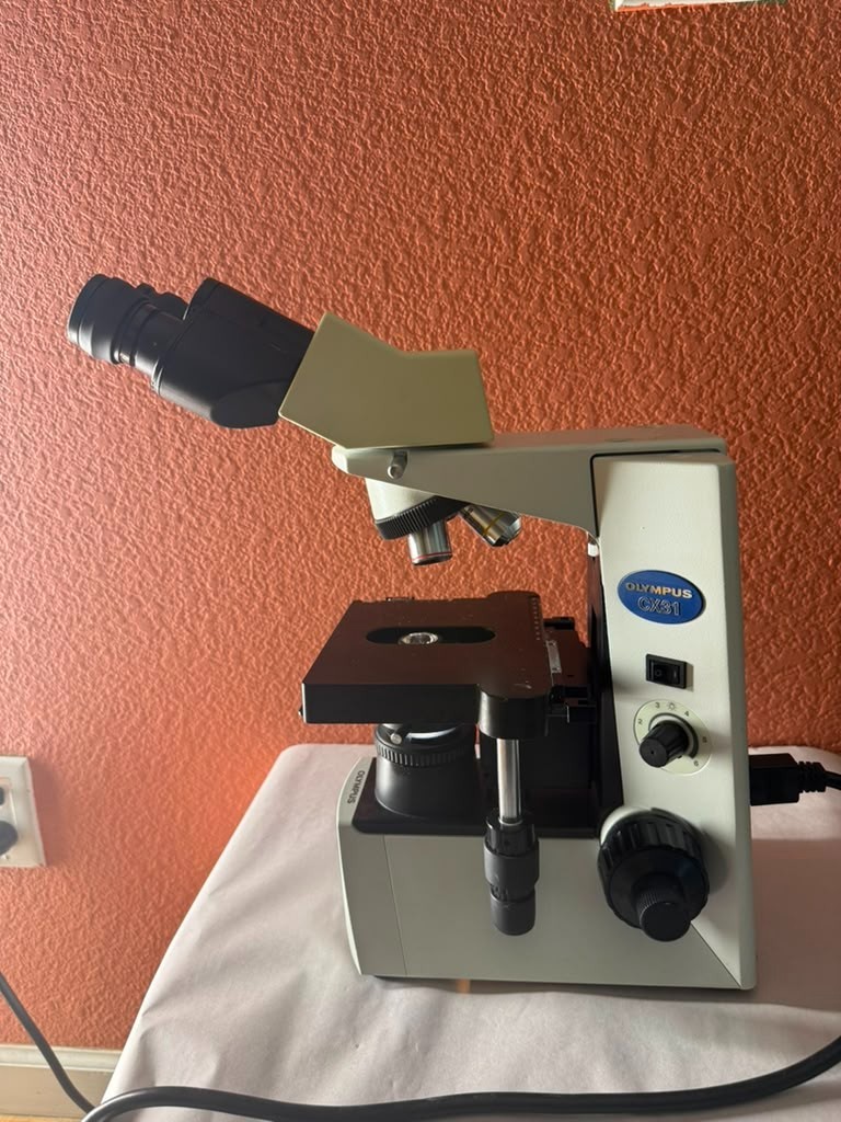 Olympus CX31RBSF Binocular Biological Compound Microscope