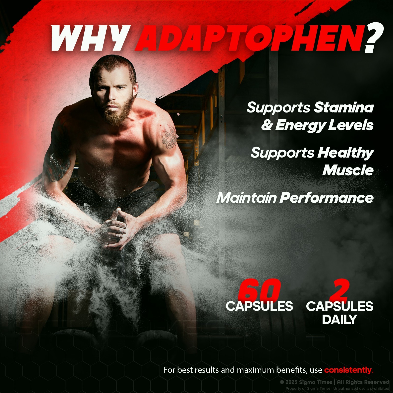 (2 Pack) Adaptophen Capsules for Men, Advanced Supplement Pills for Male