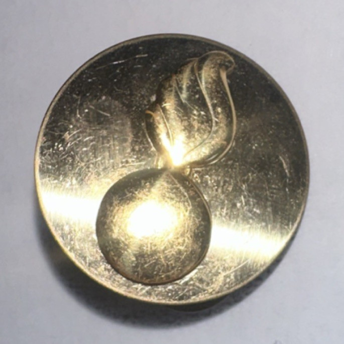 Gold Militaria Button with Raised Emblem Design