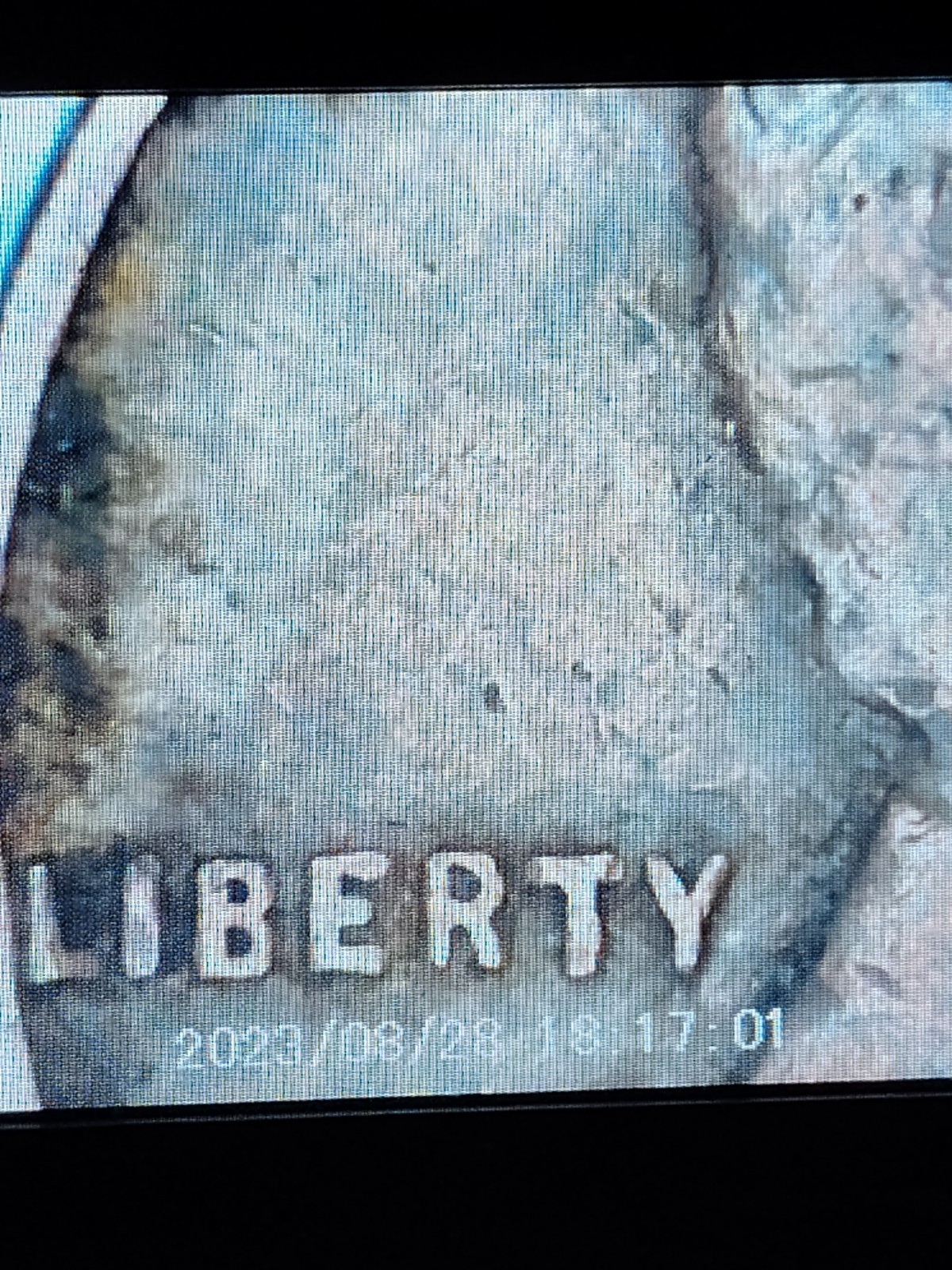 1942 No Mint Mark Wheat Penny Errors Obverse & Reverse