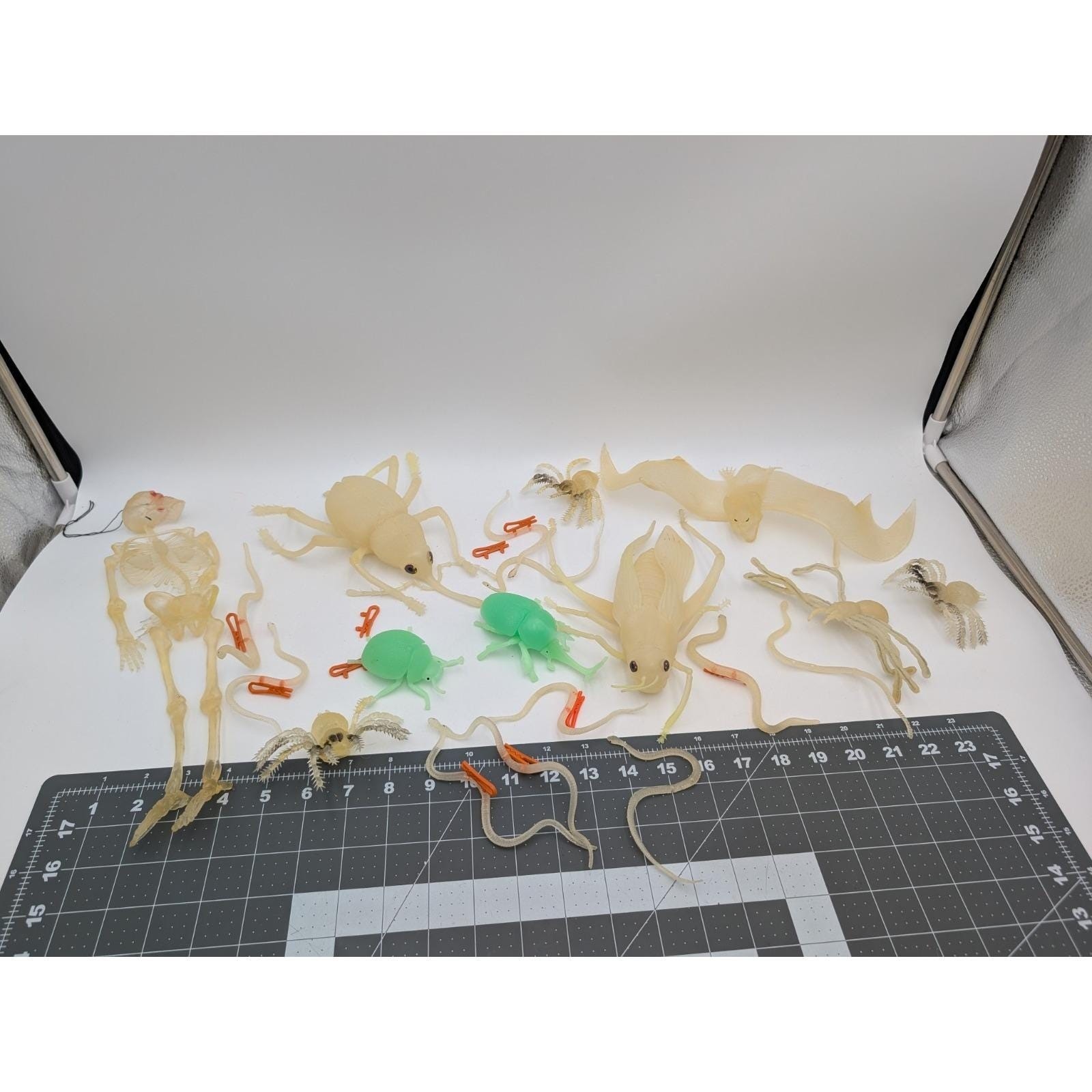 Glow in the Dark Insect Reptiles Lot Grasshopper Spider Snake Bat Beetle