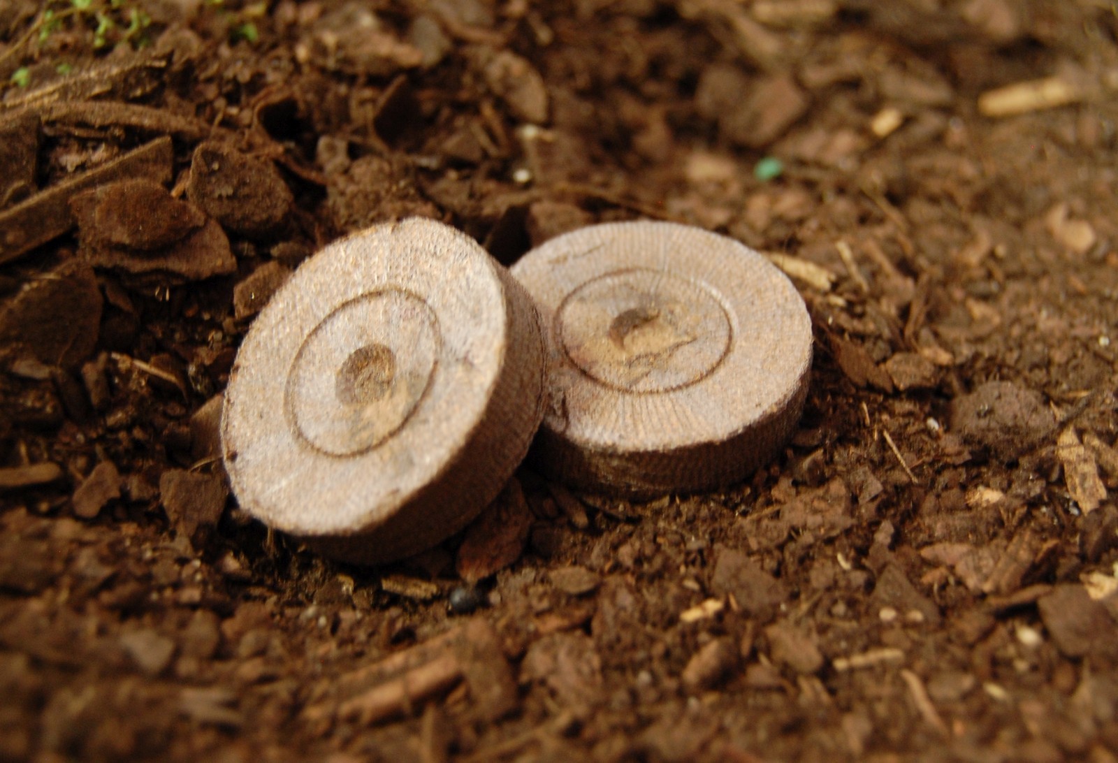 Jiffy 7 Peat Pellets 30 mm Seed Starting Plug Growing Media - 200 Count