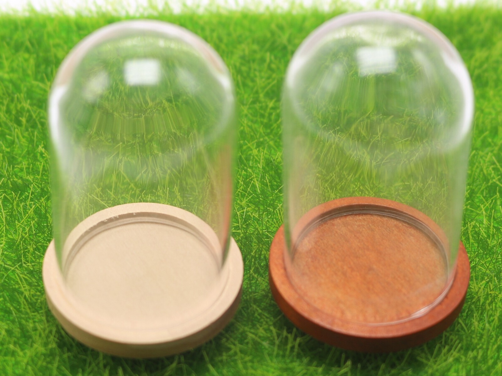 DIY Miniature Glass Display Cylinder Dome with Wood Base Memory Locket 30X50mm