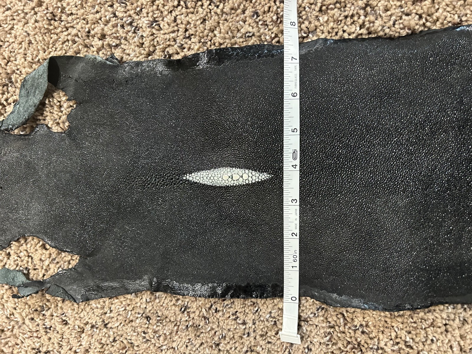 Stingray Hide