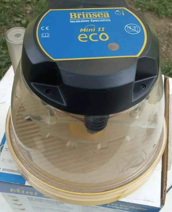 Brinsea Mini II Eco Incubator