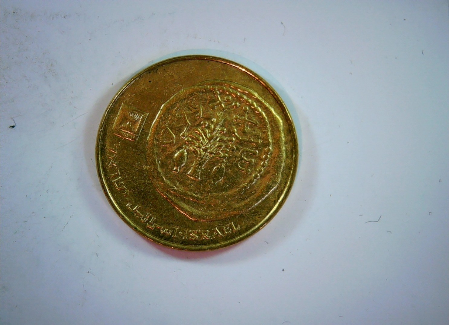 Israel 1981 5 New Agorot Israel 5 New Agorot (modern type) Coin