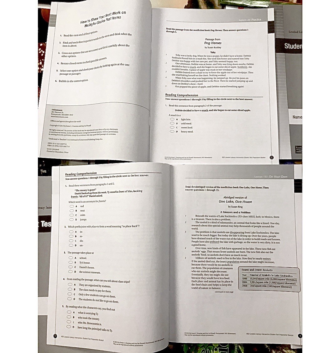 FOUNTAS & PINNELL Red System LLI Level L-Q Student Test Prep Booklets Word Study